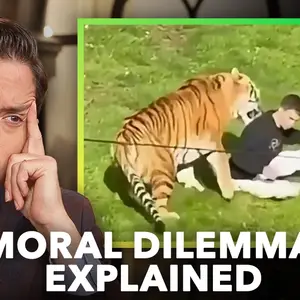 Man Gets Mauled By Tiger At The Zoo