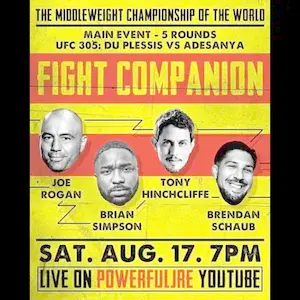 Fight Companion - August 17, 2024