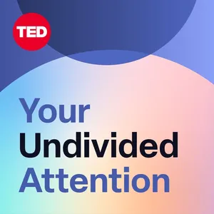 Your Undivided  Attention Logo